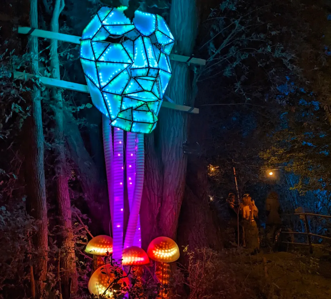 Sound reactive light sculptures