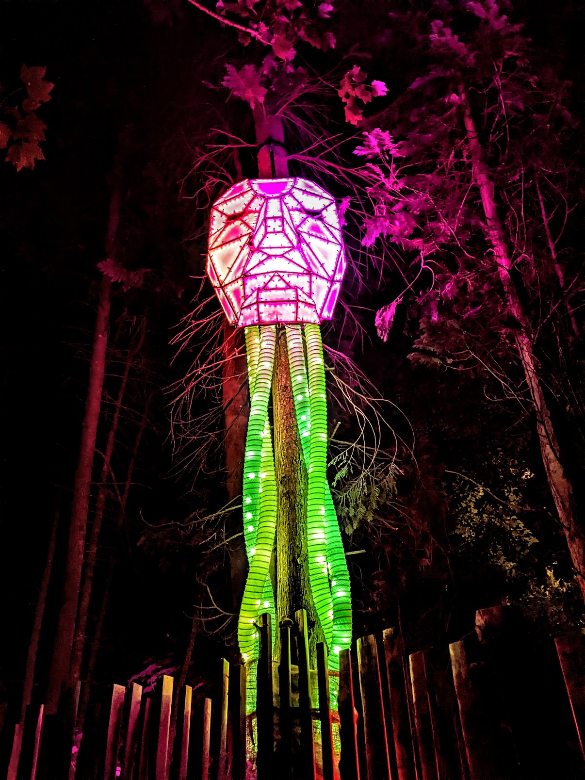 PXL_20220810_204826651.MP~2